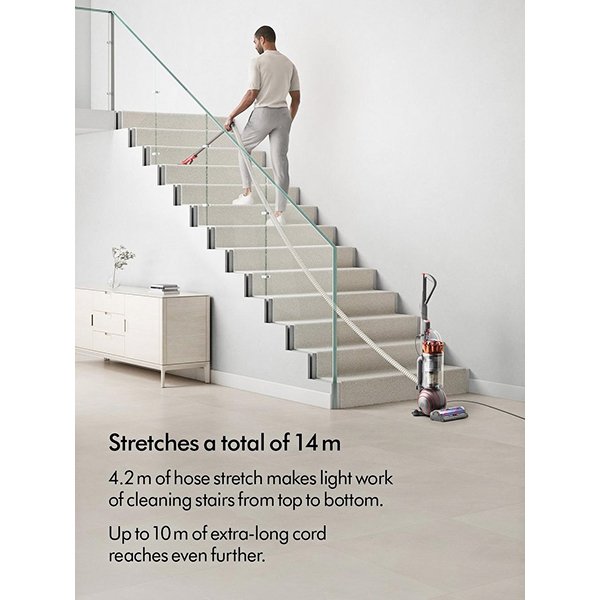 Dyson Ball Animal Multi-floor UP34 Upright Dammsugare – Silver, 5 års garanti